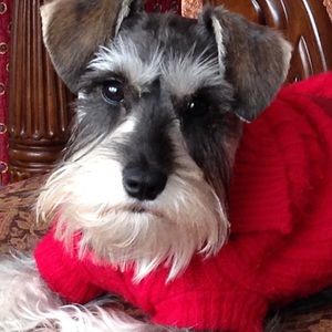 Meet your Posher, Irene